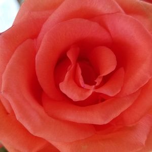 Meet your Posher, Michael simone